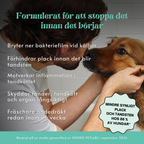 Pet Honesty - Tannpulver for hund | Friskere munn fra innsiden