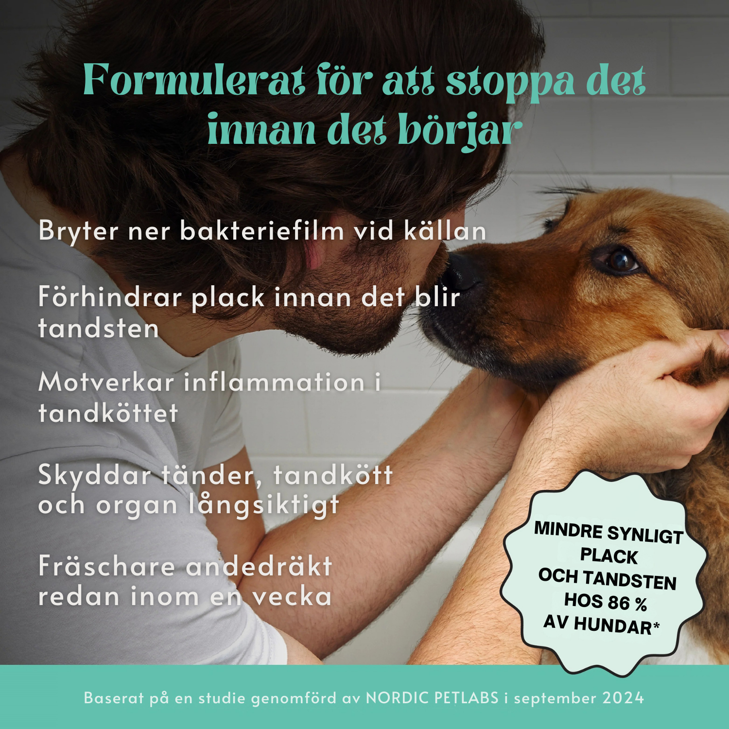 Pet Honesty - Tannpulver for hund | Friskere munn fra innsiden