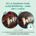 Pet Honesty - Tannpulver for hund | Friskere munn fra innsiden