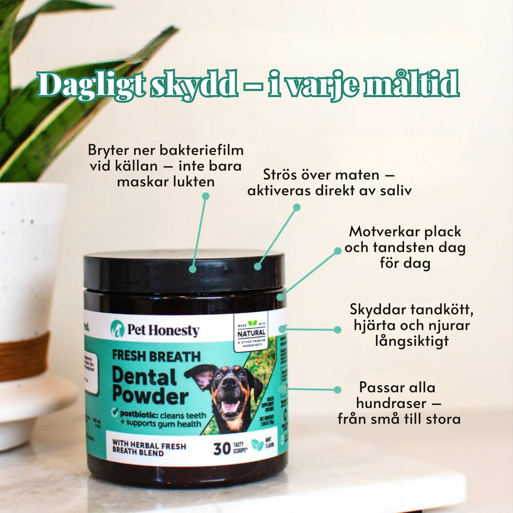 Pet Honesty - Tannpulver for hund | Friskere munn fra innsiden