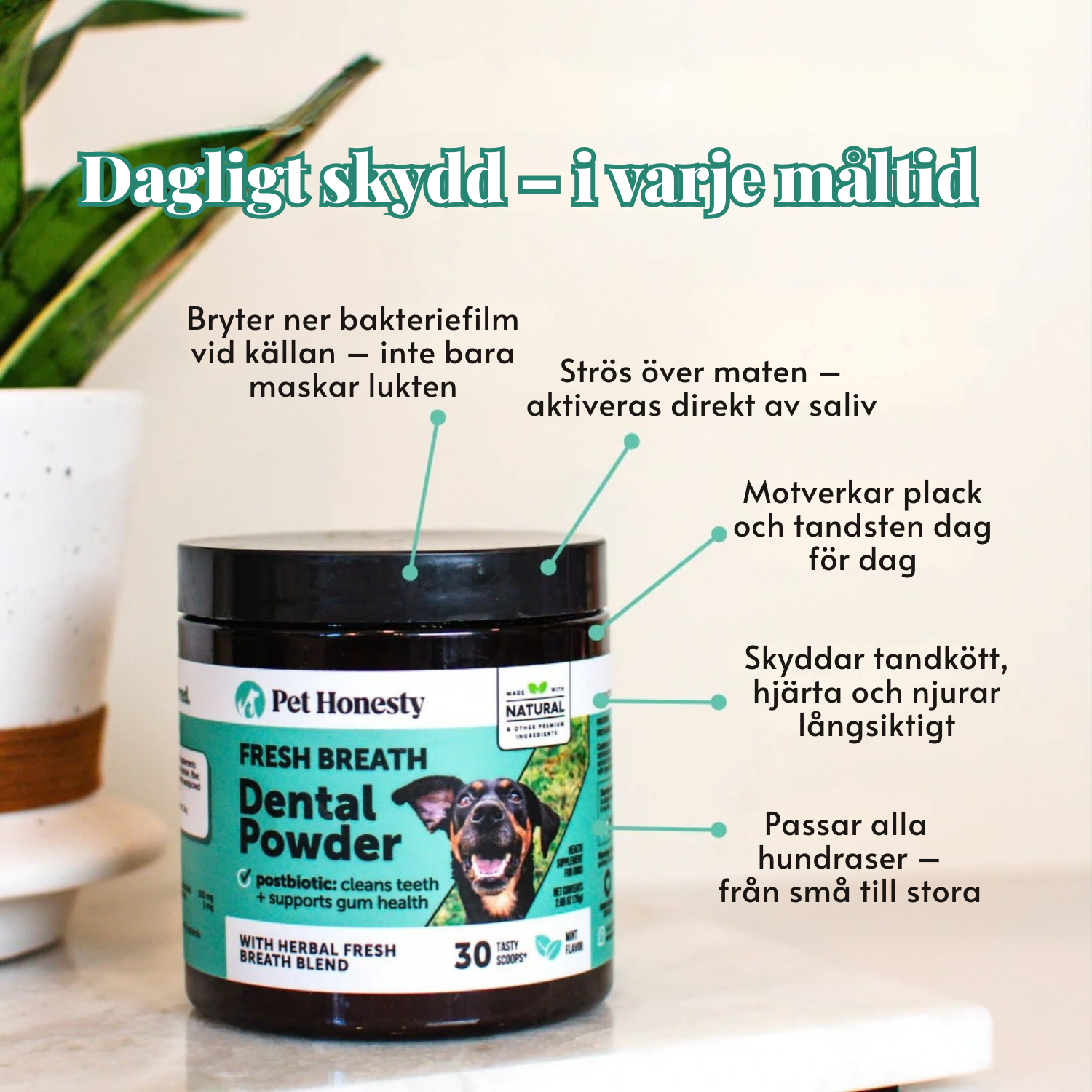 Pet Honesty - Tannpulver for hund | Friskere munn fra innsiden