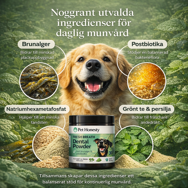 Hvorfor velger så mange Pet Honesty?